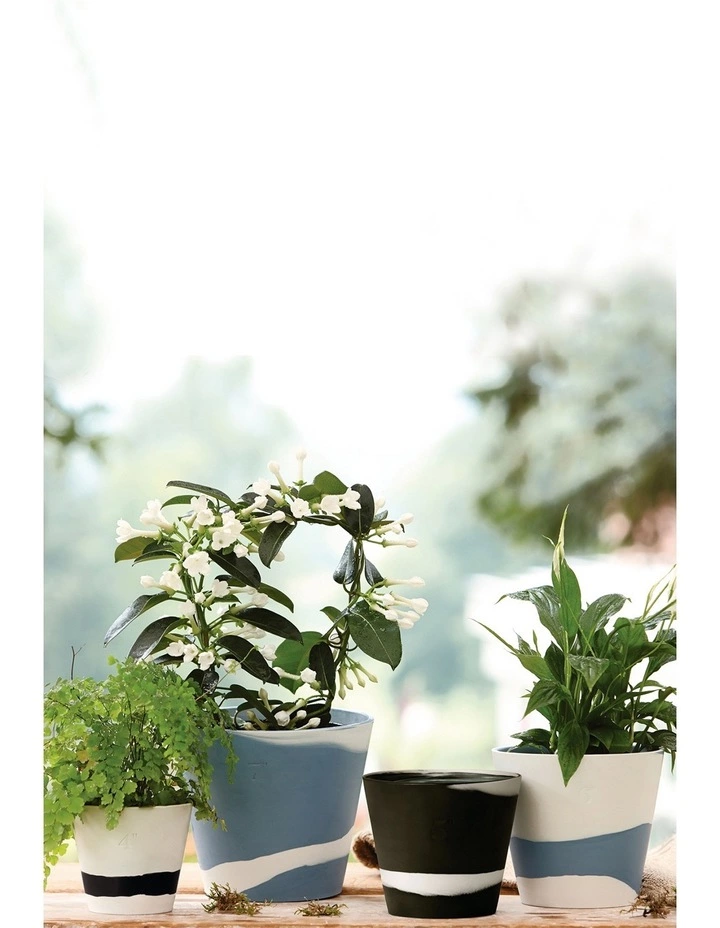 Wedgwood Burlington Pots 4inch Pot Black/White 2 Wedgwood Burlington Pots 4inch Pot Black/White - Image 2