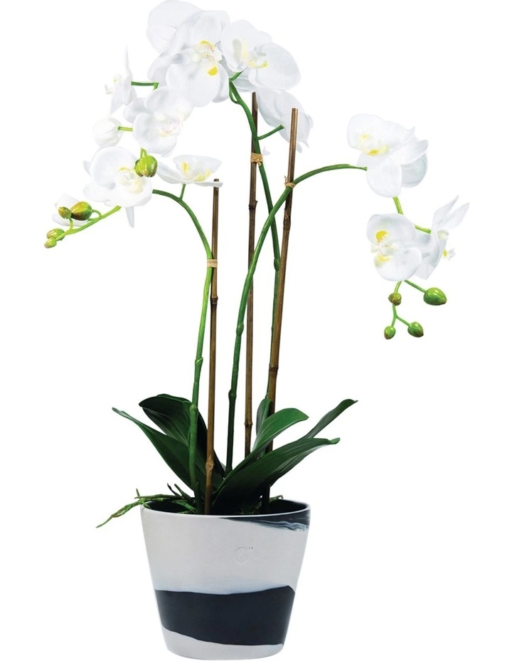 Wedgwood Burlington Pots 6inch Pot Black/White 2 Wedgwood Burlington Pots 6inch Pot Black/White - Image 2