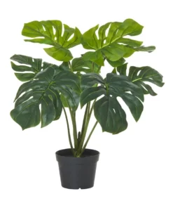 Rogue Artificial Monsteria Plant 60cm