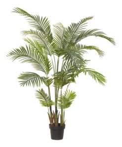Rogue Areca Palm 110x170cm