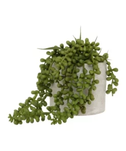 Vue Artificial String of Pearls in Cement Pot 15cm