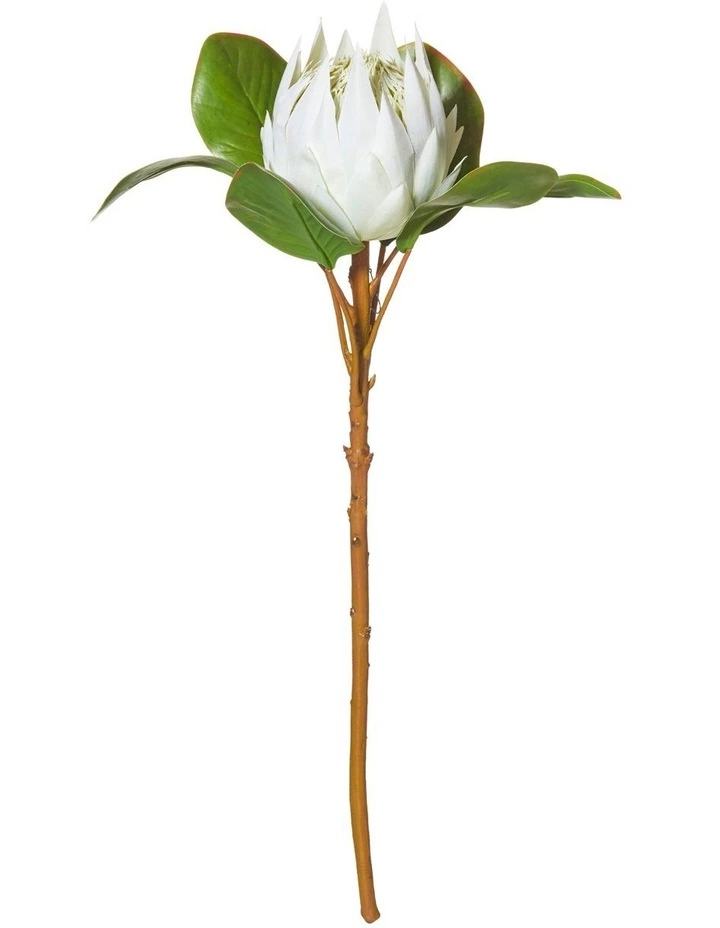 Rogue King Protea 54cm Artificial Stem White 1 Rogue King Protea 54cm Artificial Stem White
