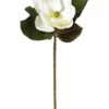 Rogue Grand Magnolia 66cm Artificial Stem White