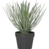Rogue Spikey Grass-Garden Pot