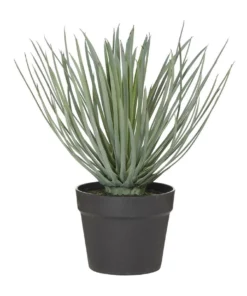 Rogue Spikey Grass-Garden Pot