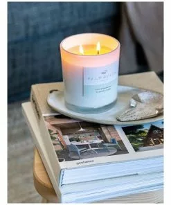 Palm Beach Collection Clove & Sandalwood 420g Scented Soy Candle -Home Decor Shop 704634760 4 720x928