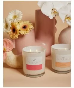 Palm Beach Collection Posy 420g Scented Soy Candle -Home Decor Shop 704635030 4 720x928