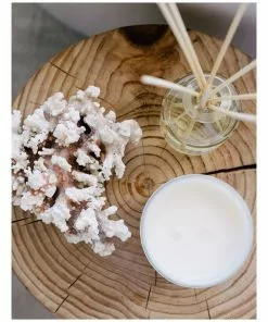 Palm Beach Collection White Rose & Jasmine 420g Scented Soy Candle -Home Decor Shop 704635390 4 720x928