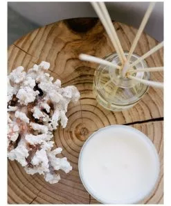 Palm Beach Collection Clove & Sandalwood 250ml Fragrance Diffuser 7 Palm Beach Collection Clove & Sandalwood 250ml Fragrance Diffuser -Home Decor Shop 704636470 4 720x928