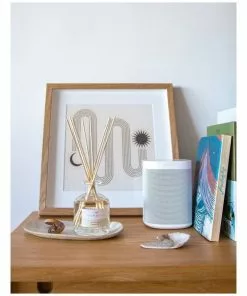 Palm Beach Collection Clove & Sandalwood 50ml Mini Fragrance Diffuser -Home Decor Shop 704637190 3 720x928