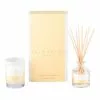 Palm Beach Collection Coconut & Lime Mini Candle & Diffuser Gift Pack