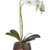 Rogue Artificial Phalaenopsis Classic Bowl 28x13x47cm White