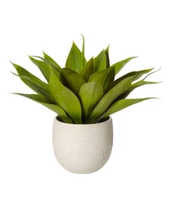 Rogue 55x55x48cm Agave Tub Pot Green/White