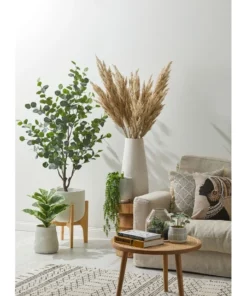 Rogue Pampas Grass Spray 92cm Artificial Stem Cream -Home Decor Shop 711507340 2 720x928