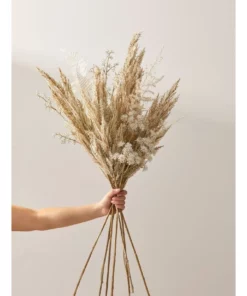 Rogue Pampas Grass Spray 92cm Artificial Stem Cream -Home Decor Shop 711507340 4 720x928