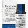 In Essence Eucalyptus Pure Essential Oil 8ml
