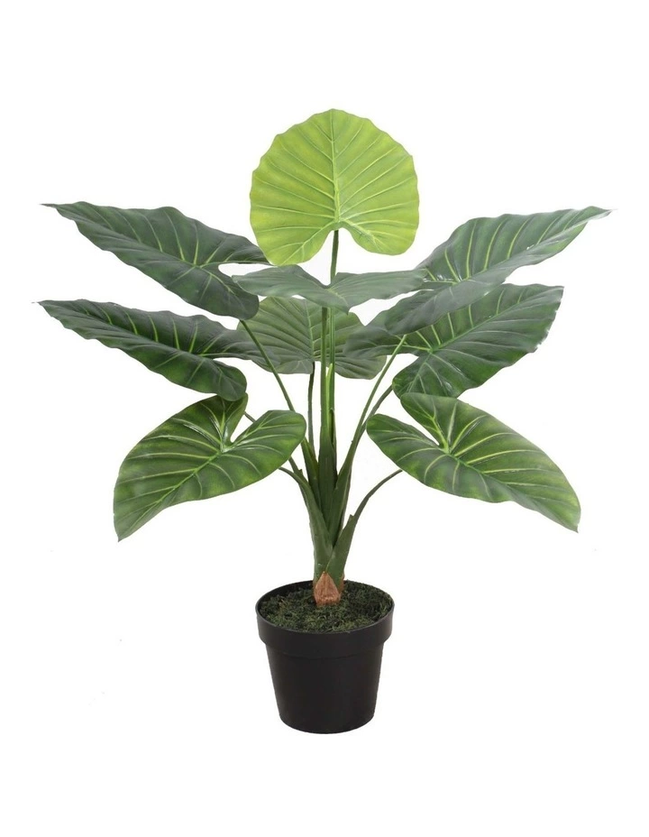 Cooper & Co 60cm Tall Potted Taro Home Decor Fake Plant Indoor 1 Cooper & Co 60cm Tall Potted Taro Home Decor Fake Plant Indoor