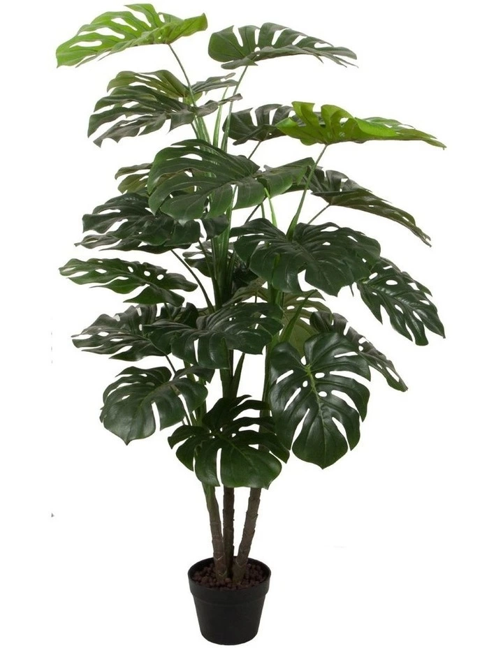 Cooper & Co 140Cm Tall Potted Monstera Home Decor Fake Plant 1 Cooper & Co 140Cm Tall Potted Monstera Home Decor Fake Plant