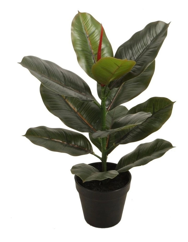 Cooper & Co 45Cm Tall Potted Ficus Home Decor Fake Plant Indoor Flowers Plastic 1 Cooper & Co 45Cm Tall Potted Ficus Home Decor Fake Plant Indoor Flowers Plastic