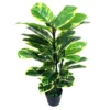 Cooper & Co Botanica 90cm Artificial Rubber Plant