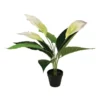 Cooper & Co 55cm Artificial Peace Lily Plant