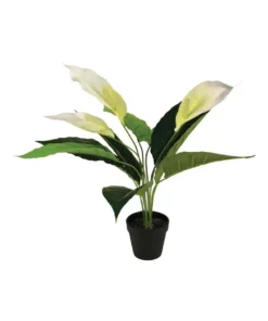 Cooper & Co 55cm Artificial Peace Lily Plant