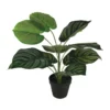 Cooper & Co 45cm Artificial Calathea Orbifolia Plant