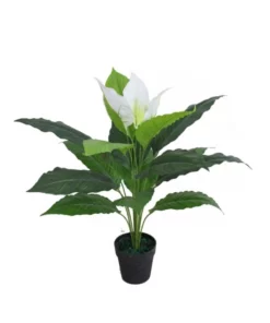 Cooper & Co 70Cm Tall Potted Artificial Peace Lily