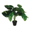 Cooper & Co 55Cm Artificial Golden Pothis Plant