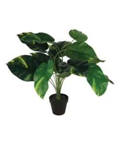 Cooper & Co 24cm Artificial Money Bag Plant