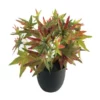 Cooper & Co 24cm Artificial Green Maple Plant