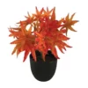 Cooper & Co 24Cm Artificial Red Maple Plant