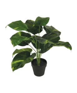 Cooper & Co 45Cm Artificial Diefenbachia Plant