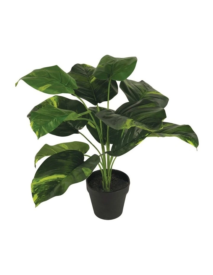 Cooper & Co 45Cm Artificial Diefenbachia Plant 1 Cooper & Co 45Cm Artificial Diefenbachia Plant