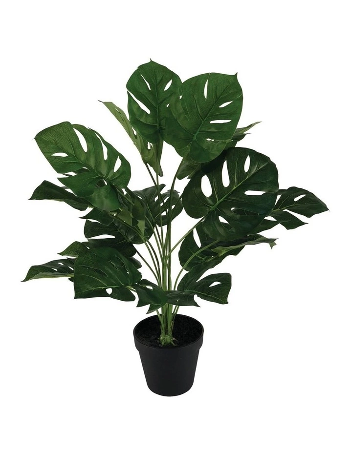 Cooper & Co 60Cm Artificial Monstera Plant Home Decor Faux Plant in Pot Indoor 1 Cooper & Co 60Cm Artificial Monstera Plant Home Decor Faux Plant in Pot Indoor