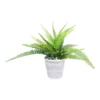 Cooper & Co 30cm Tall Potted Artificial Boston Fern