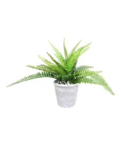 Cooper & Co 30cm Tall Potted Artificial Boston Fern