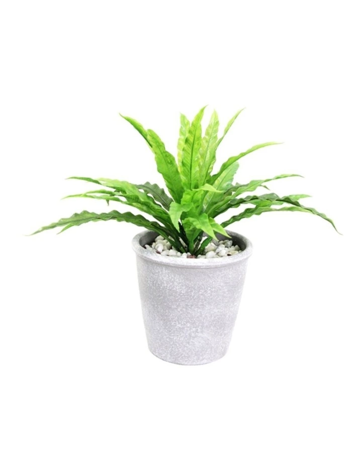 Cooper & Co 26cm Tall Potted Artificial Boston Fern 1 Cooper & Co 26cm Tall Potted Artificial Boston Fern