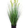 Cooper & Co 91cm Tall Potted Artificial Foxtail