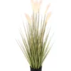 Cooper & Co 91cm Tall Potted Artificial Foxtail