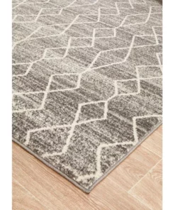 Rug Culture Evoke Remy Silver Transitional Rug -Home Decor Shop 790155640 6 720x928