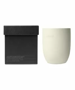 Aesop Callippus Aromatique Candle 300g