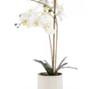 Cooper & Co 61cm Orchid Potted Artificial Plant