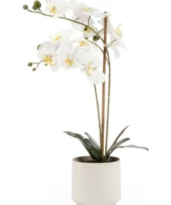 Cooper & Co 61cm Orchid Potted Artificial Plant