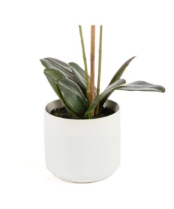 Cooper & Co 61cm Orchid Potted Artificial Plant -Home Decor Shop 799372450 4 720x928