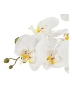 Cooper & Co 61cm Orchid Potted Artificial Plant -Home Decor Shop 799372450 5 720x928