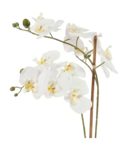 Cooper & Co 61cm Orchid Potted Artificial Plant -Home Decor Shop 799372450 6 720x928