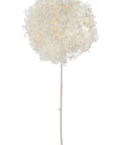 Rogue Preserved Anna Hydrangea 60cm White