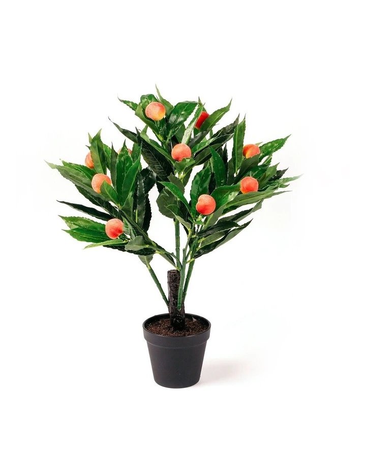 Cooper & Co 50cm Artificial Peach Tree 1 Cooper & Co 50cm Artificial Peach Tree