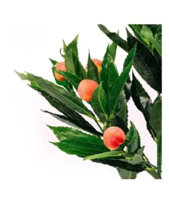 Cooper & Co 50cm Artificial Peach Tree 5 Cooper & Co 50cm Artificial Peach Tree -Home Decor Shop 803746360 3 720x928